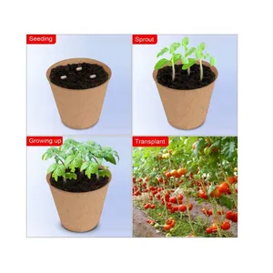 Disposable Jiffy Pot for Seedling Transplant Peat Pot 40 Cells per Flat thumbnail-1