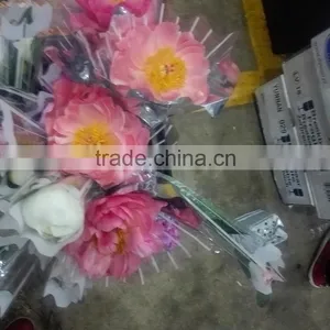 Bottom Price Latest Different Kinds Peony Flower thumbnail-2