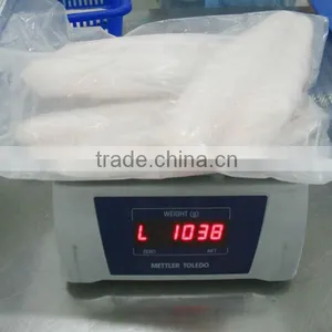 FROZEN PANGASIUS FILLET thumbnail-1