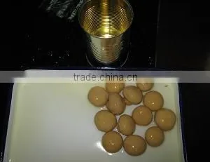 CANNED MUSHROOM (SLICE) thumbnail-4