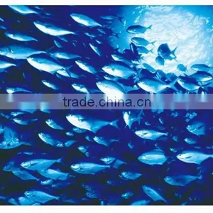 LED Fisher Lamps 250w Led Fisher Lamps 85lm/w 0.96PF 500m Lighting Distance AC85~265V Wide Voltage thumbnail-2