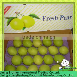 China Shandong Pear 15kg Carton thumbnail-1