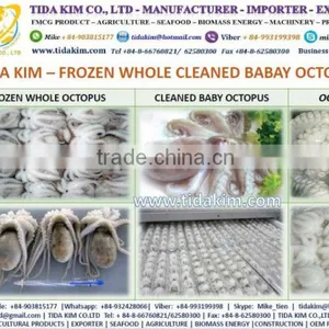 ITOYORI SURIMI MIXED KINTOKIDAI TIDA KIM FRESH FROZEN LOBSTER SHRIMP FISH WHOLE BABY OCTOPUS SURIMI VIETNAM MANUFACTURER ALIVE thumbnail-3