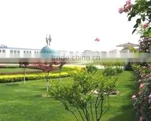 Ningbo HGT Imp & Exp Co., Ltd. company overview - view 1 thumbnail