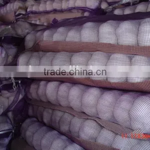 Chinese New White Garlic thumbnail-2