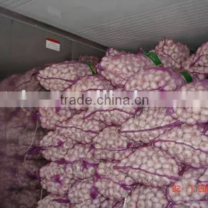 Shandong Jingxiang Fresh Garlic thumbnail-1