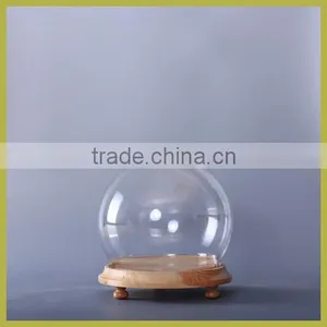 Clear Glass Display Dome thumbnail-3