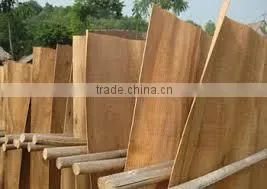 A Grade Best Price - Vietnam Eucalyptus Core Veneer thumbnail-5