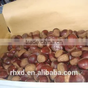 New Crop Chinese Chestnuts/ Raw Organic Bulk Nuts/peeled Chestnuts for Sale/roasted Chestnuts thumbnail-2
