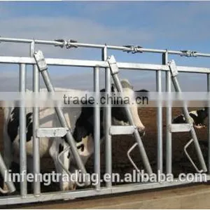 Animal Husbandry Equipment Cows Neck Cangue thumbnail-1