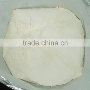 Garlic Powder Garlic Powder Processing Plant thumbnail-3