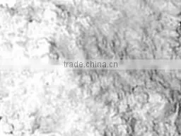 Maize Starch thumbnail-3