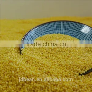 2016 Crop Glutinous Yellow Millet Sticky Millet for Rice Cake thumbnail-1