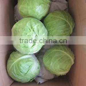 Dried Cabbage thumbnail-1