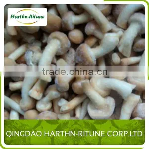 Bulk Frozen Nameko Mushroom Nameko thumbnail-2