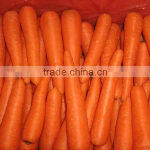 2013 Fresh Carrot thumbnail-1