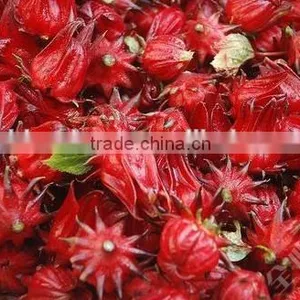 GMP Natural High Quality Water Soluble Hibiscus Extract Powder/Roselle Extract Powder thumbnail-5