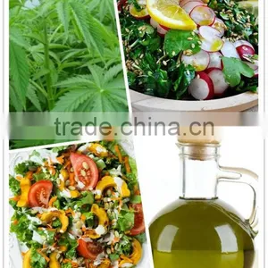 Pure Raw Organic Hemp Seed Oil of Cold Pressed and Refined thumbnail-2