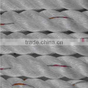 3 Strands PP Danline Rope thumbnail-2