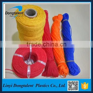 PE Twine Exported to Africa Market thumbnail-3