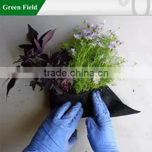 Green Field Root Wrappers Hanging Wall Pockets Root Wrappers thumbnail-1