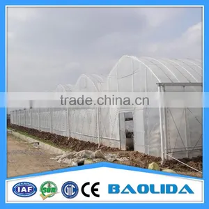 Multi Span Green Houses For Agriculture thumbnail-4
