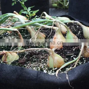 Tomato Planter Pot (1 Gal to 1200 Gal) thumbnail-3
