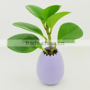 Wholesale X-mas Gift Mini Decrotive Cute Egg Shape Plastic Pot for Plant thumbnail-1