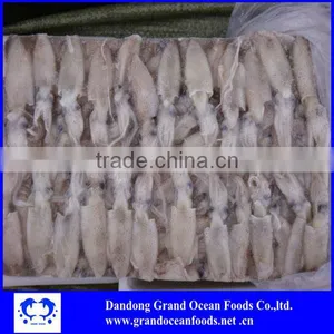 Seafood Baby Squid Price thumbnail-1