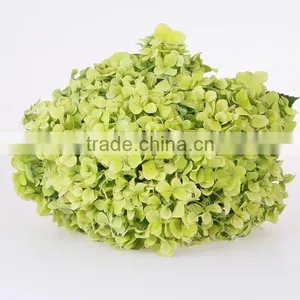 Single Stem Best Selling Fresh Wedding Flower Hydrangea Wholeasle From Yunnan,China thumbnail-3