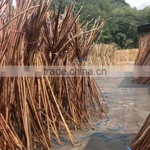 Raw Rattan Red Malacca Canes thumbnail-4