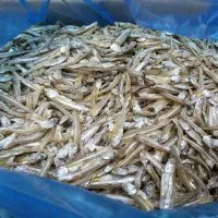 Dried Anchovy thumbnail-1