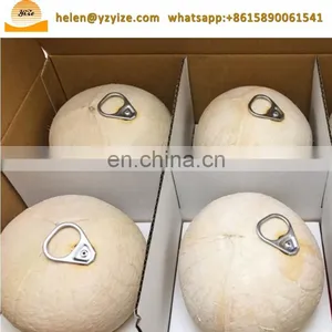 Automatic Coconut Button Making Drilling Machine Coconut Laser Machine thumbnail-3