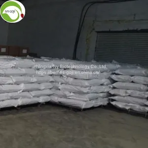 Factory Supply Raw GWS AA Grade Pumpkin Kernels thumbnail-3