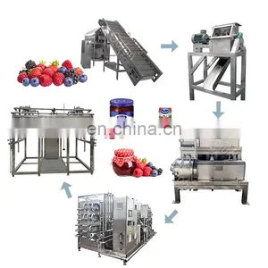 All Fruit Fully Automatic Concentrates Machine Natural Berry Juice Production Line thumbnail-1