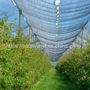 100% Virgin Material and Mould Plastic Anti Hail Net thumbnail-1