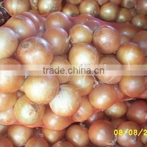 China Yellow Onion thumbnail-1