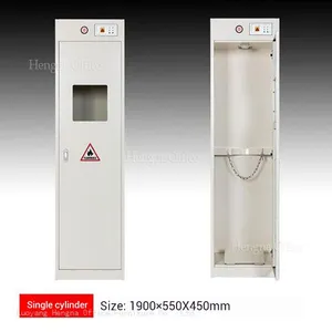 Customizable 1/2/3 Bottle Gas Storage Solution With Visualization Window & Second Genernation Intelligent Control for Industrial Projects thumbnail-3