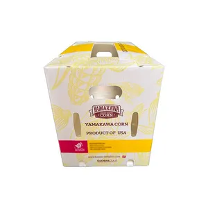 Agricultural Goods PP Corrugated Box -Sweet Corn, Cabbage,Orah Mandarin,Grape,Asparagus thumbnail-4