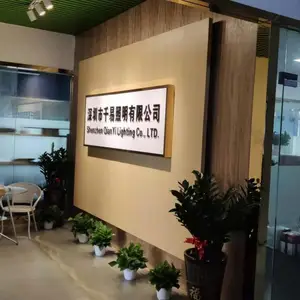 Shenzhen Qianyi Lighting Co., Ltd. company overview - view 1 thumbnail