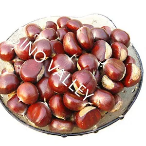 Bulk Fresh Raw Taishan Chestnuts Wholesale Leading China Exporter to Thailand Vietnam Organic Non-GMO Supplier Ecological Agriculture Japan Korea thumbnail-1