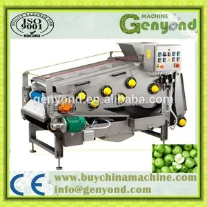 Small Capacity Apple Belt Press for Apple Juice thumbnail-3
