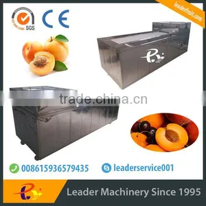 Leader Fruit Pitting Machine With CE&ISO thumbnail-5