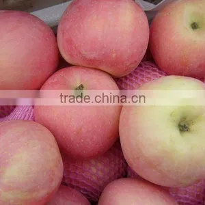 2014 Chinese Apple Supplier thumbnail-1