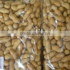 China 9/11&11/13 Roasted Peanut in Shell thumbnail-1