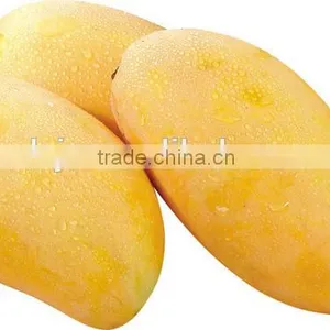 Mango Seed Removing Machine | Peeling Machine thumbnail-3