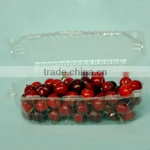 PET Plastic Cherry Box thumbnail-2