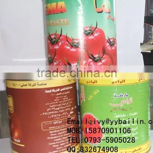 Double Concentrated Canned Tomato Paste With Best Quality thumbnail-1