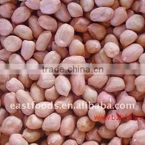 Chinese Round Type Peanut Kernels thumbnail-1