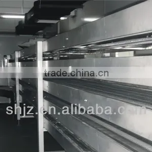 Sterilization and Conveyor Belt thumbnail-2